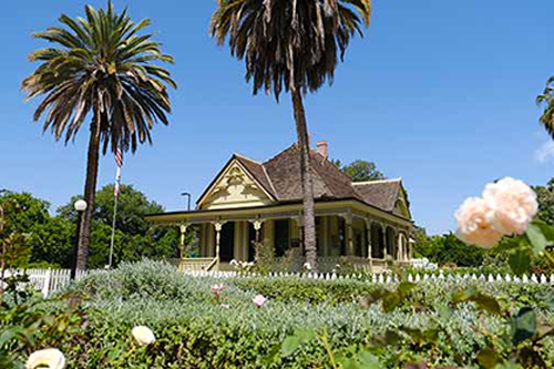 This image is used for The Fullerton Arboretum link button