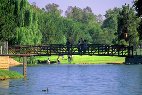 This image is used for Craig Regional Park link button